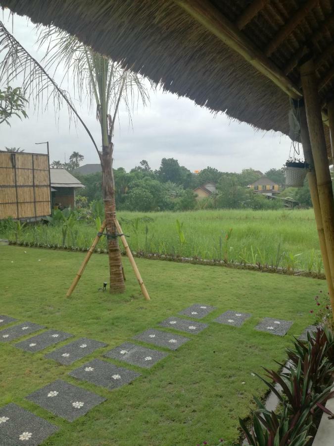 Hello Canggu Homestay Kültér fotó